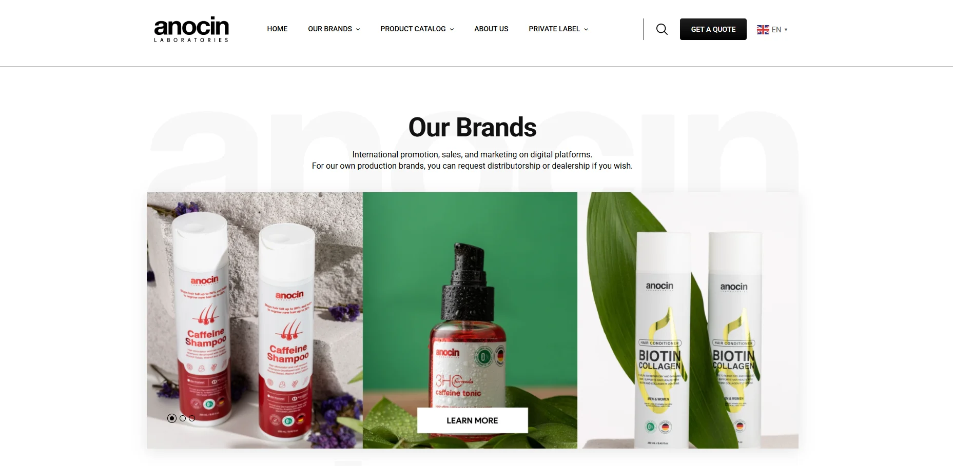 Anocin Laboratories' product range including caffeine shampoo bottles, caffeine tonic, and biotin collagen conditioner displayed on marketing page.